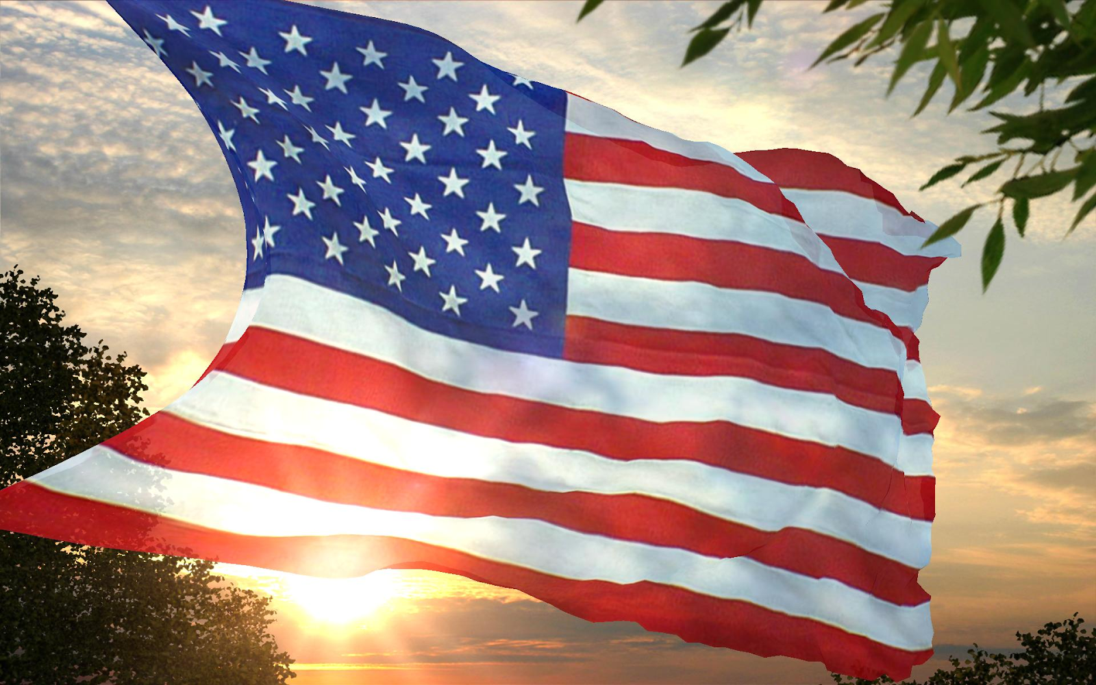 Honoring Our Stars and Stripes: A Guide to Respecting the American Flag