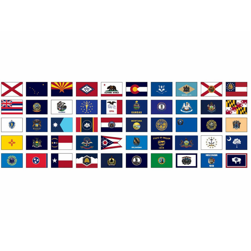 Load image into Gallery viewer, Complete set of 50 US State Flags designed for outdoor use, displayed in a grid format, featuring all official state flag designs in vibrant colors.