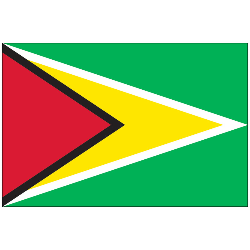 Load image into Gallery viewer, The National Flag of Guyana, known as "The Golden Arrowhead." It features a deep green field (forests/agriculture) with a long yellow arrowhead (mineral wealth/forward thrust) edged in white, and a superimposed red triangle (zeal/dynamism) edged in black, all originating from the hoist.