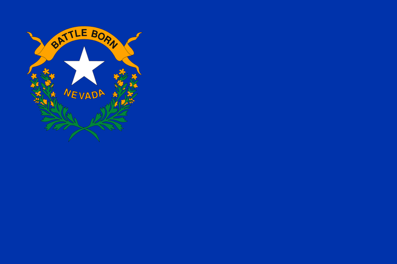 Load image into Gallery viewer, Nevada state flag with a blue field featuring a white star, sagebrush, and a gold banner reading “Battle Born” in the upper left corner.