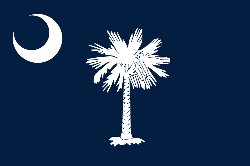 Load image into Gallery viewer, South Carolina state flag featuring a white palmetto tree and crescent on a deep blue background, symbolizing strength and resilience.
