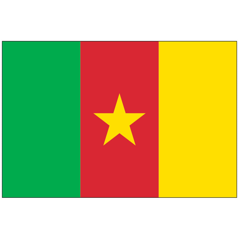 Load image into Gallery viewer, Flag of Cameroon made of nylon, featuring a vertical tricolor of green, red, and yellow, with a large centered yellow five-pointed star on the red band.