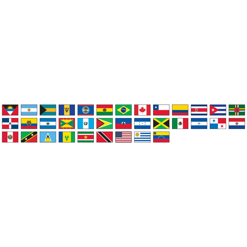 Load image into Gallery viewer, Complete set of O.A.S. Member Nation flags made of nylon for indoor/parade use, displayed in a grid, featuring a pole hem and a specification for gold fringe.