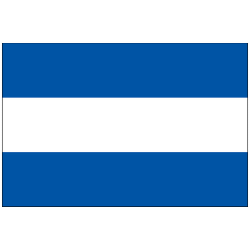 Load image into Gallery viewer, Simplified version of the Nicaragua flag with three horizontal stripes—blue on the top and bottom and white in the center—without the national emblem.