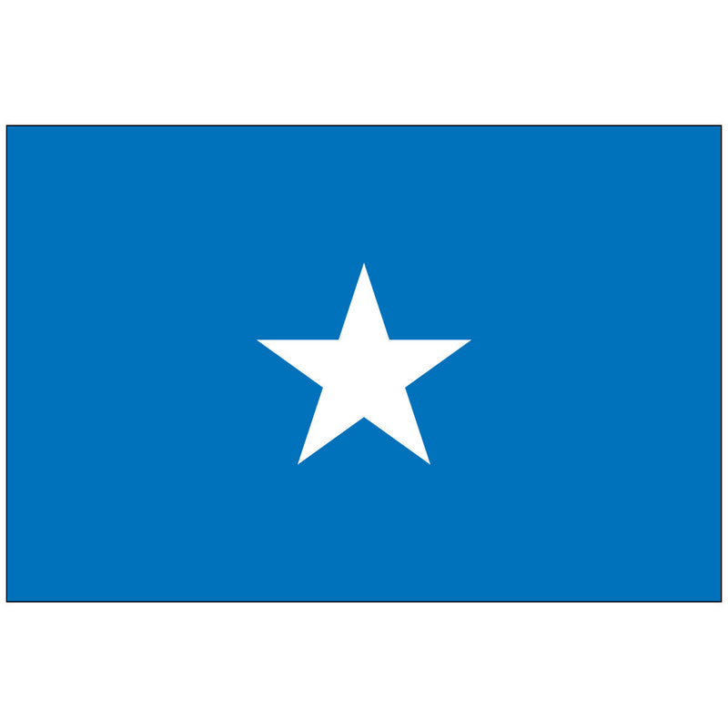 Load image into Gallery viewer, The flag of Somalia, featuring a white star on a light blue field.