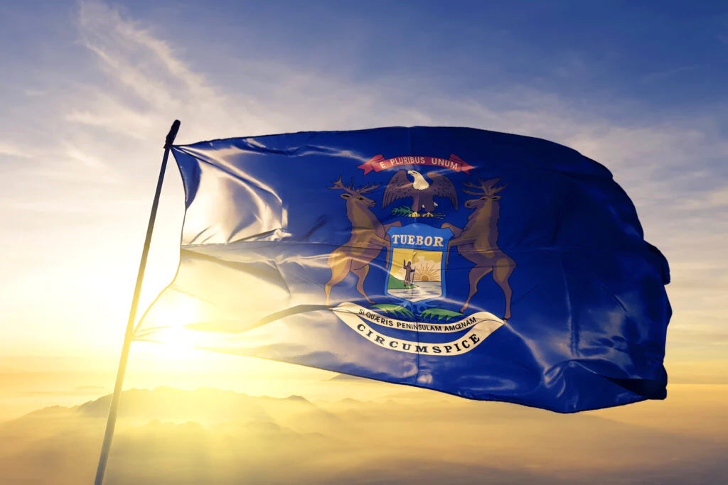 The Rich Tapestry of Michigan's State Flag: A Deep Dive into Its History