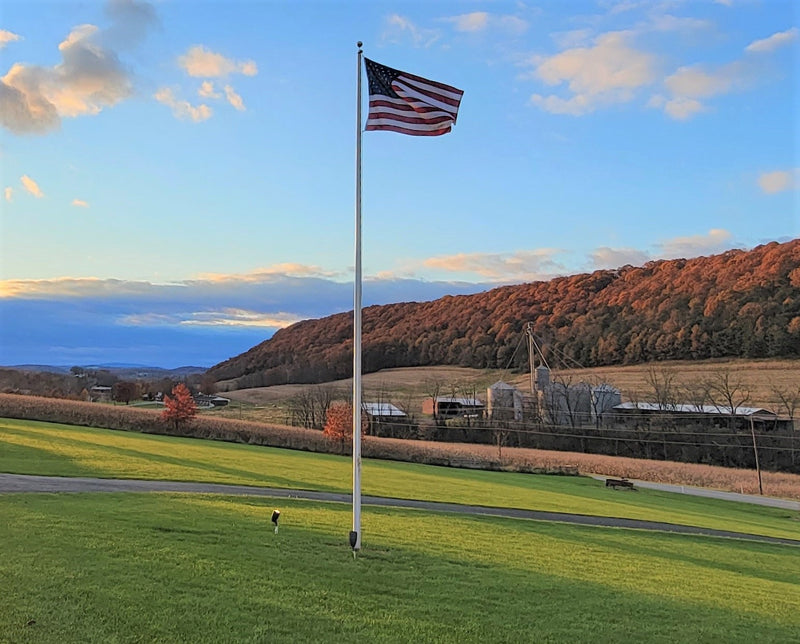 Load image into Gallery viewer, A 50-foot Lincoln Series External Halyard Aluminum Flagpole with an American flag flying at the top, set against a scenic background.
