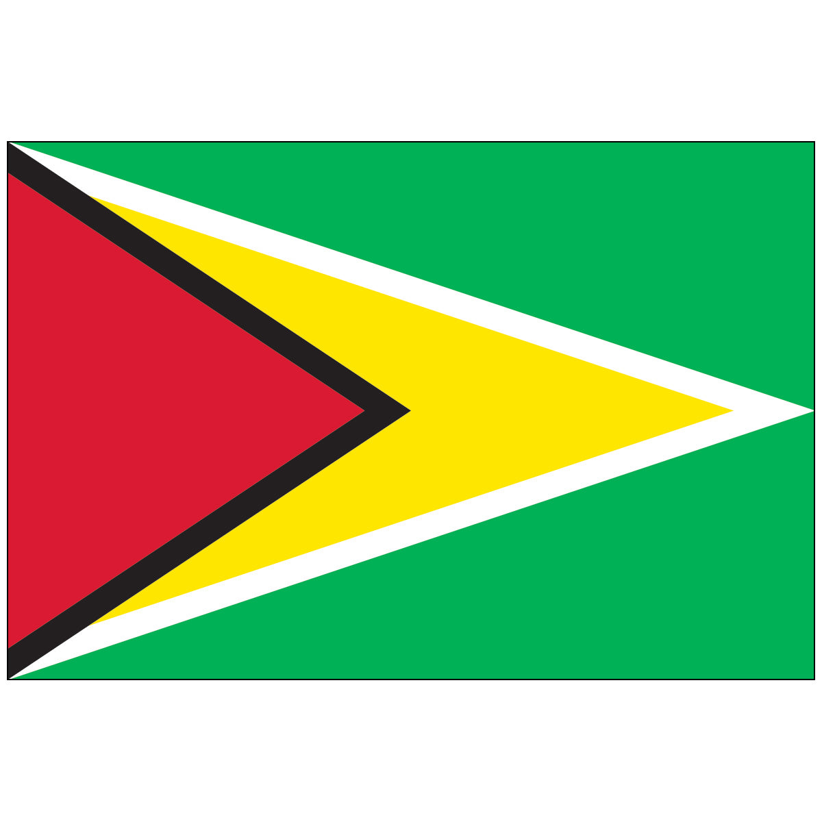 Guyana - World Flag