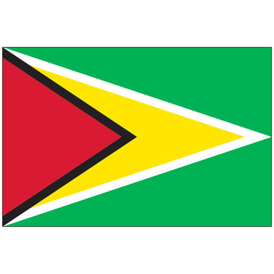 4" x 6" Guyana - Endura-Gloss Mounted Flag