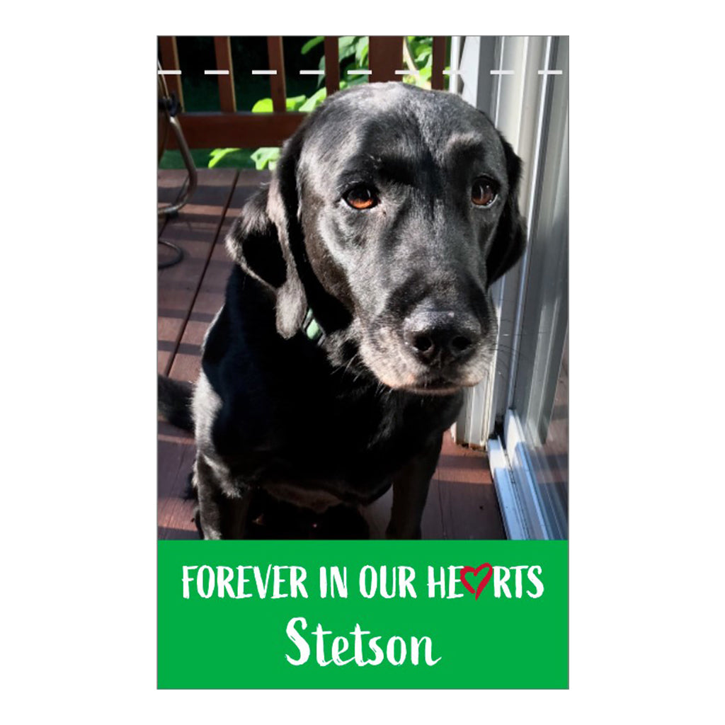 Personalized Nylon Pet Garden Flag - 18