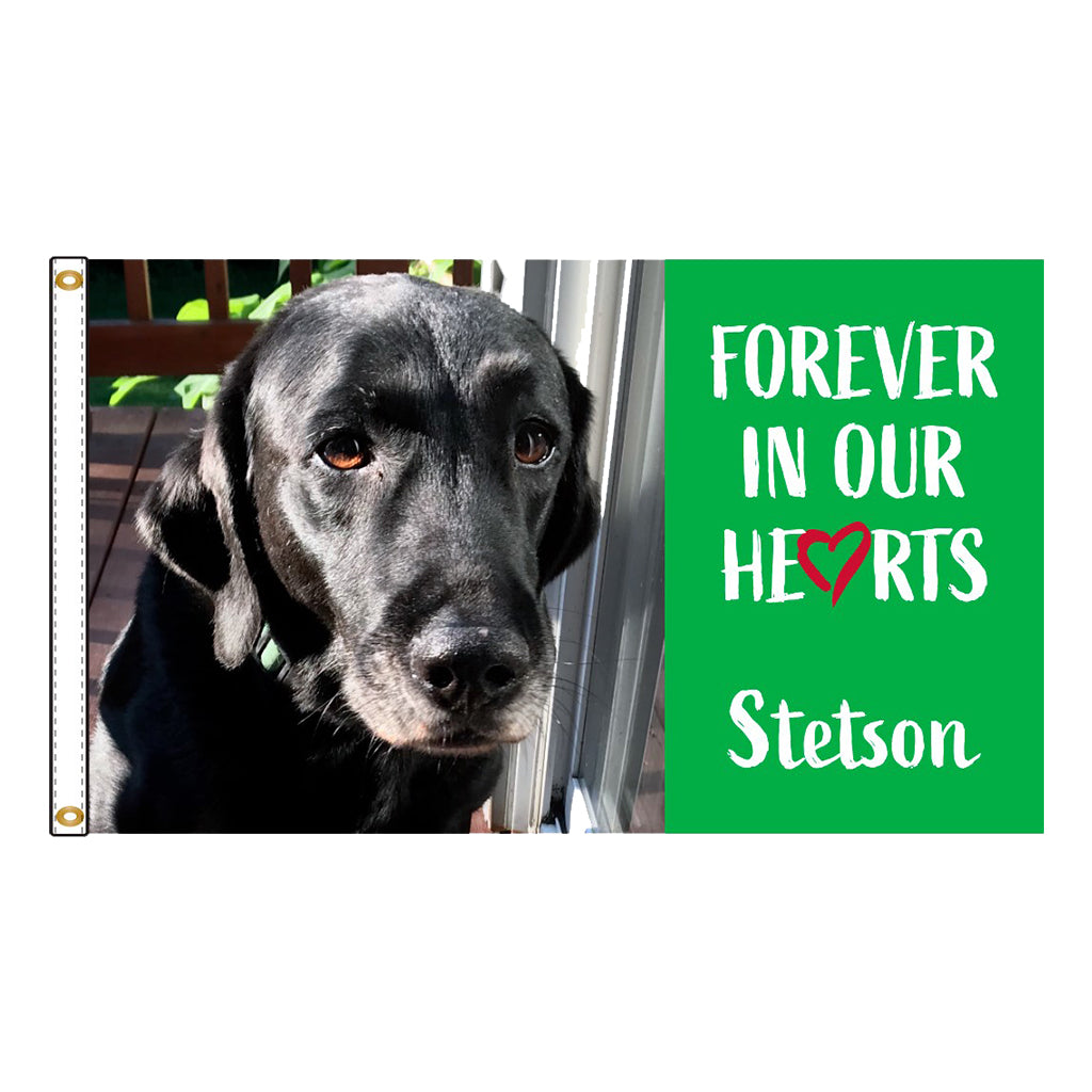 Personalized Digital Nylon Pet Flag