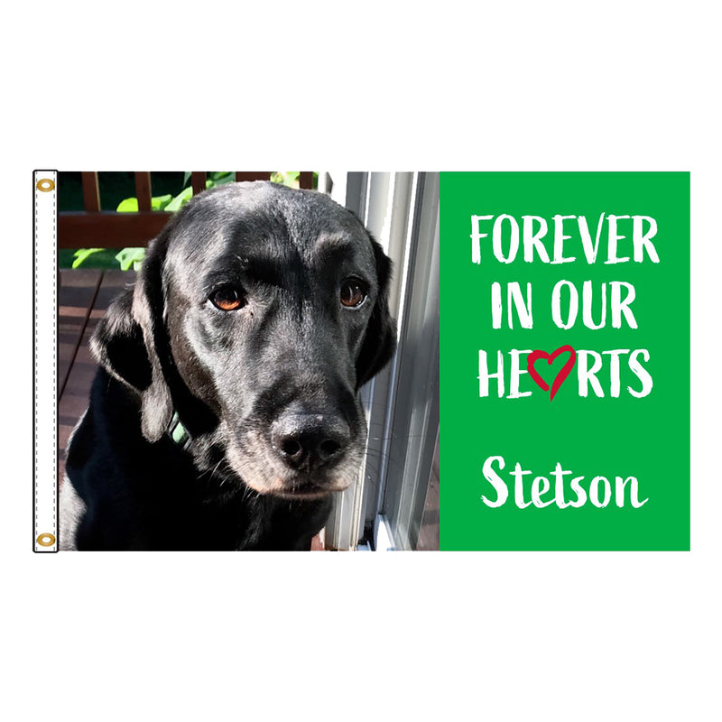 Load image into Gallery viewer, Personalized Digital Nylon Pet Flag
