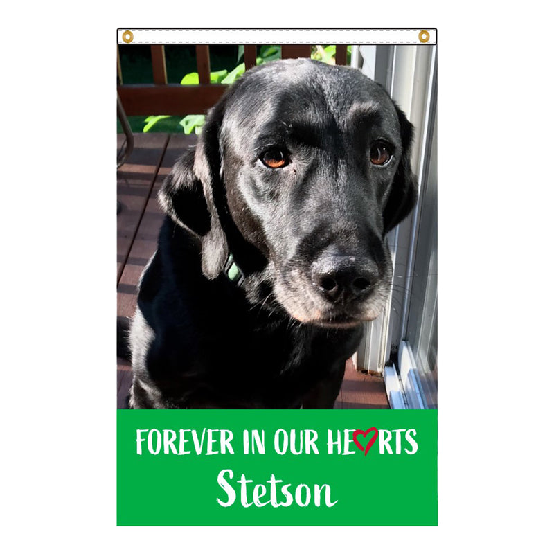 Load image into Gallery viewer, Personalized Digital Nylon Pet Flag
