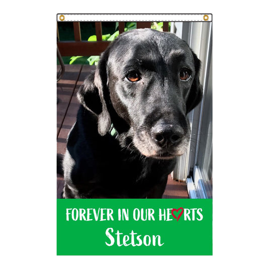 Personalized Digital Nylon Pet Flag