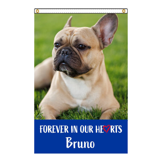Personalized Digital Nylon Pet Flag