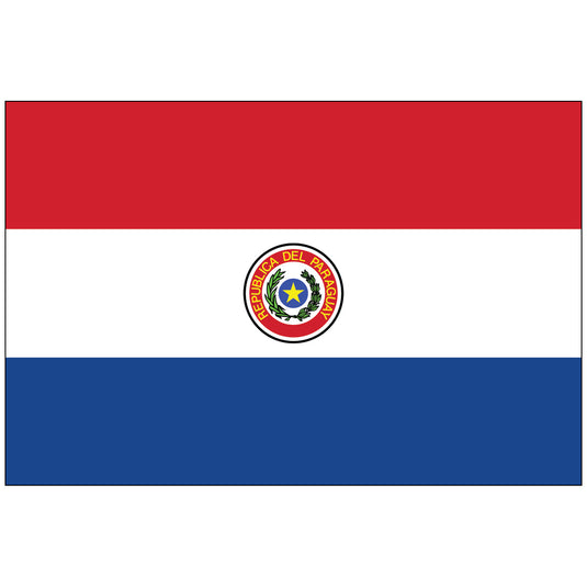 4" x 6" Paraguay - Endura-Gloss Mounted Flag