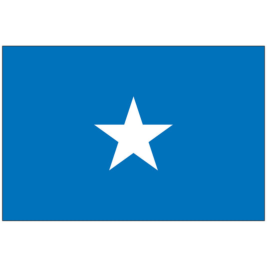 4" x 6" Somalia - Endura-Gloss Mounted Flag
