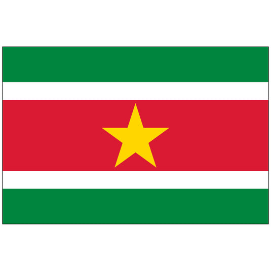 4" x 6" Suriname - Endura-Gloss Mounted Flag