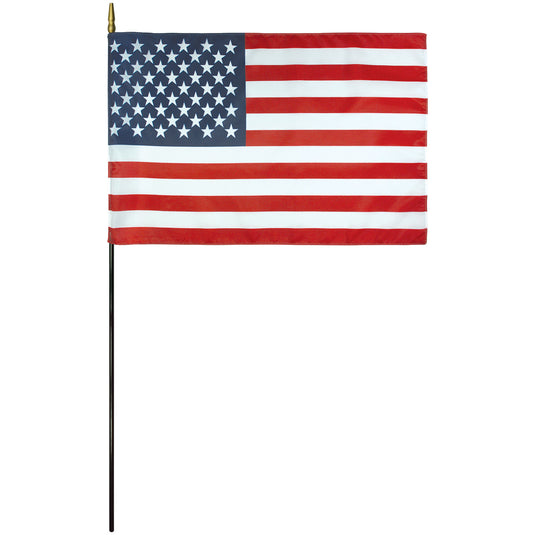 8" x 12" Endura-Gloss US Mounted Flag