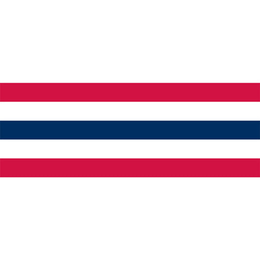 Flag Pattern Bunting