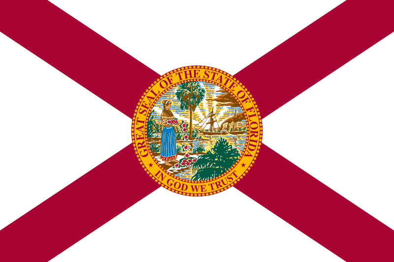 Load image into Gallery viewer, Florida state flag featuring a red diagonal cross on a white background with the state seal centered, showing a Seminole woman, palm trees, and a sunrise.
