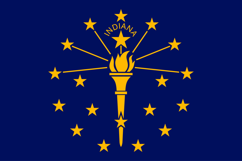 Load image into Gallery viewer, Indiana state flag with a gold torch surrounded by nineteen stars on a blue background, symbolizing liberty and enlightenment.
