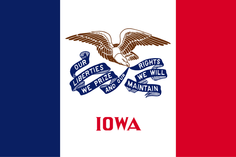 Load image into Gallery viewer, Iowa state flag with vertical blue, white, and red stripes, featuring a bald eagle holding a blue ribbon that reads “Our liberties we prize and our rights we will maintain.”
