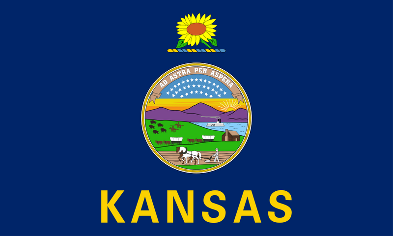 Load image into Gallery viewer, Kansas state flag featuring the state seal with a sunflower above it and “KANSAS” written in gold letters on a blue background.
