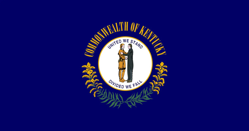 Load image into Gallery viewer, Kentucky state flag with the state seal depicting two men shaking hands surrounded by goldenrod and the motto “United We Stand, Divided We Fall” on a blue background.
