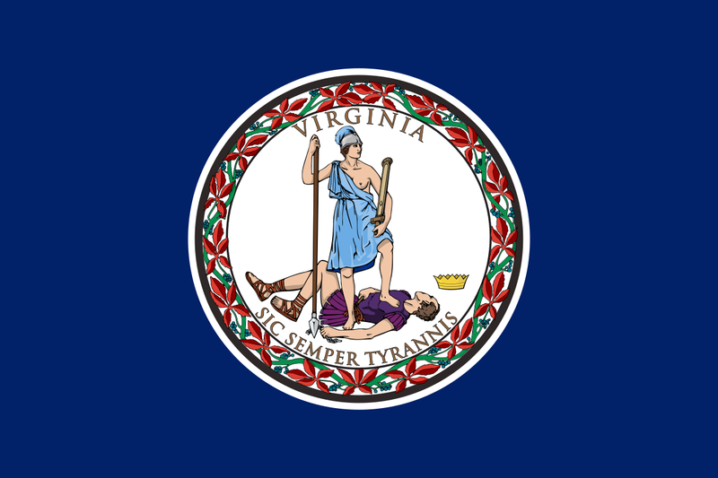Load image into Gallery viewer, Virginia state flag featuring the state seal with Virtus standing over a defeated tyrant, symbolizing victory over oppression, surrounded by the motto “Sic Semper Tyrannis.”
