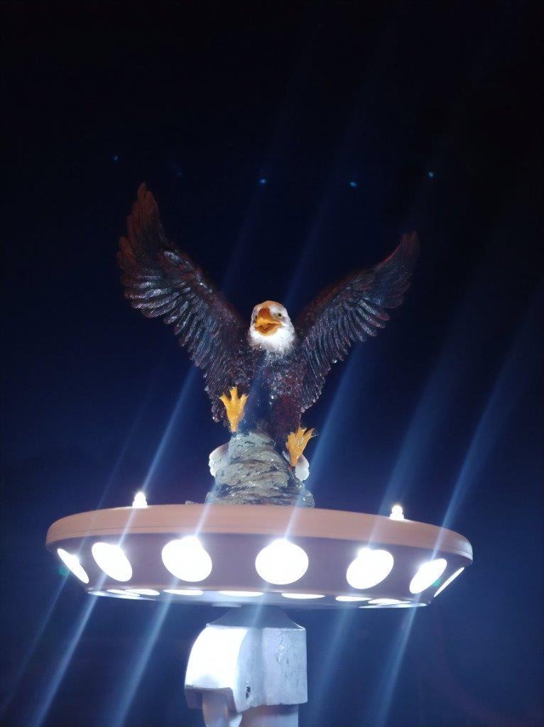 Load image into Gallery viewer, Up Down Solar Disk Light (38 LED FPL38) illuminating a perched eagle flagpole ornament at night.
