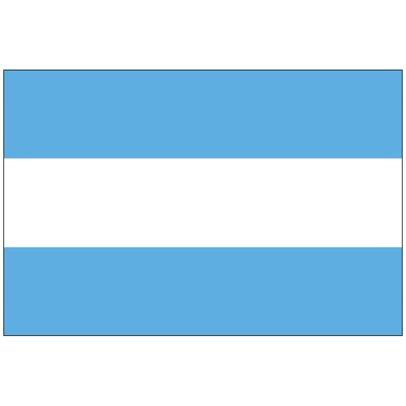 Load image into Gallery viewer, Argentina - World Flag
