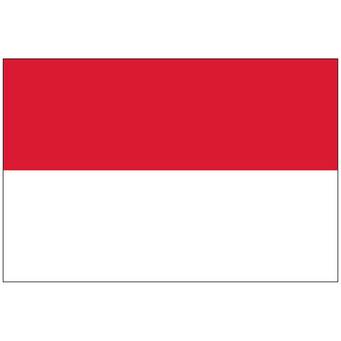 Indonesia - Nylon World Flag