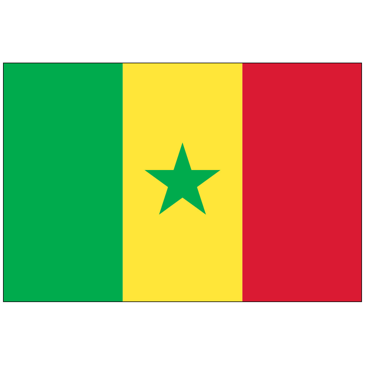 Senegal - Nylon World Flag