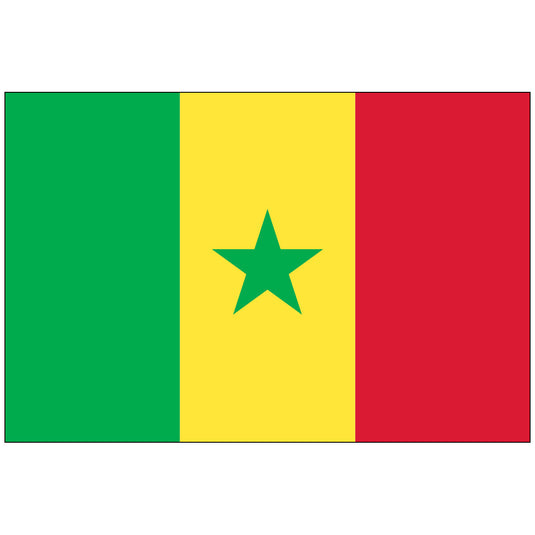 Senegal - Nylon World Flag