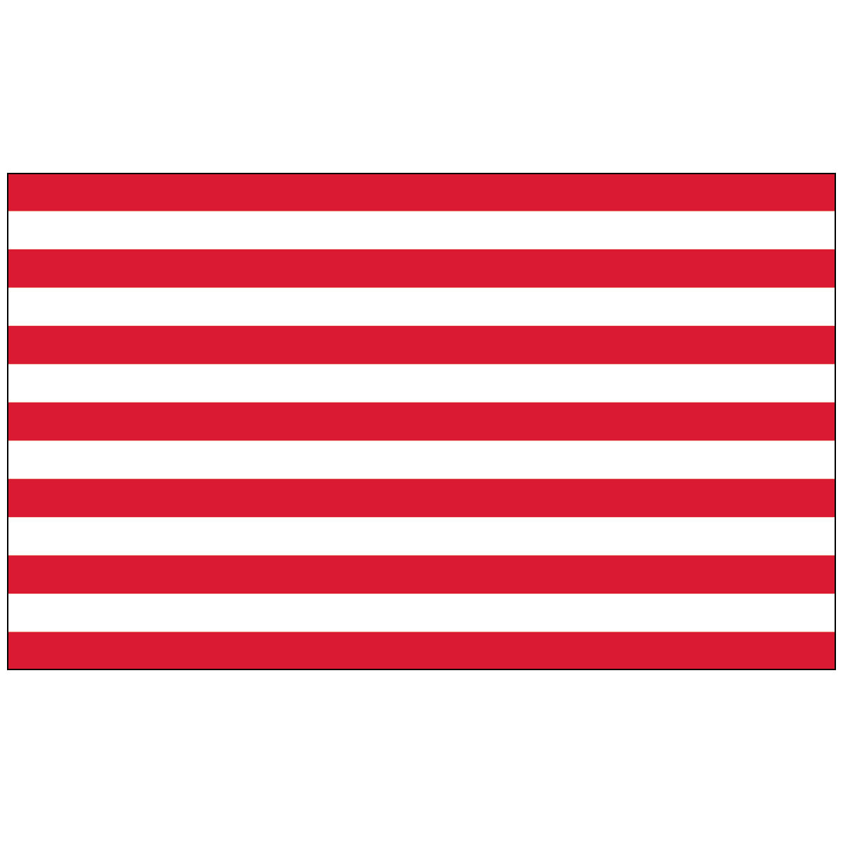 Nylon Sons Of Liberty U.S. Historical Flag