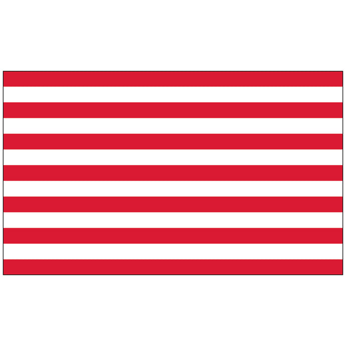 Nylon Sons Of Liberty U.S. Historical Flag