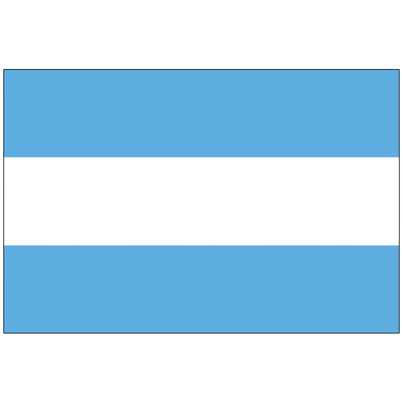 Load image into Gallery viewer, The ornamental flag of Argentina, showing the three horizontal stripes of light blue and white without the Sun of May emblem.
