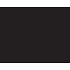 The solid black auto racing flag, used to order a driver to the pits, often for a penalty.