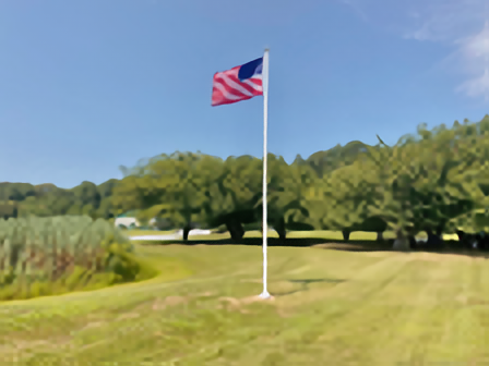 Fiberglass internal cam cleat flagpole installed on a grassy lawn, flying the American flag under clear blue skies.