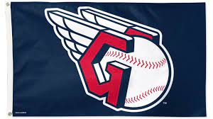3'x5' Cleveland Guardians MLB Sports Flag