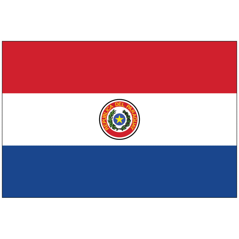 Load image into Gallery viewer, Paraguay nylon world flag featuring horizontal red, white, and blue stripes with centered national coat of arms showing yellow star surrounded by green palm and olive branchesRetry
