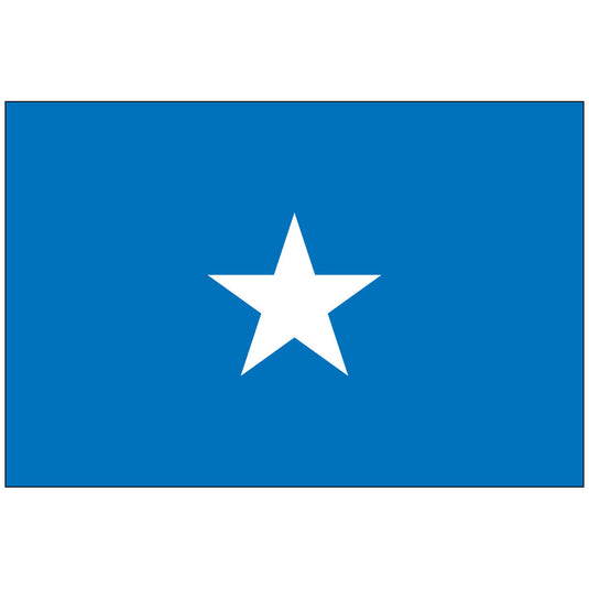 The flag of Somalia, featuring a white star on a light blue field.