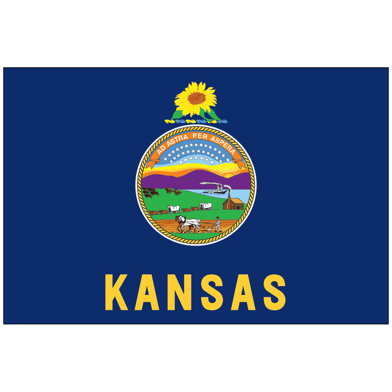 Load image into Gallery viewer, Kansas state flag featuring the state seal with a sunflower above it and “KANSAS” written in gold letters on a blue background.
