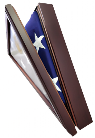 Load image into Gallery viewer, Presidential Flag Case - SpartaCraft
