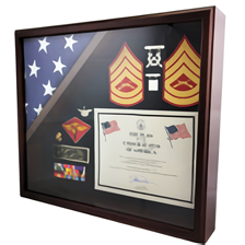 Capitol Flag and Accolades Display Case - SpartaCraft