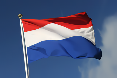 30' x 50' Custom Printed Netherlands Nylon Flag
