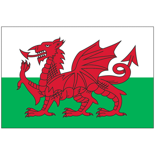Horizontal Wales World Flag (Y Ddraig Goch). The flag is split horizontally with a white stripe over a green stripe, centered with the large, striking red Welsh Dragon facing left.